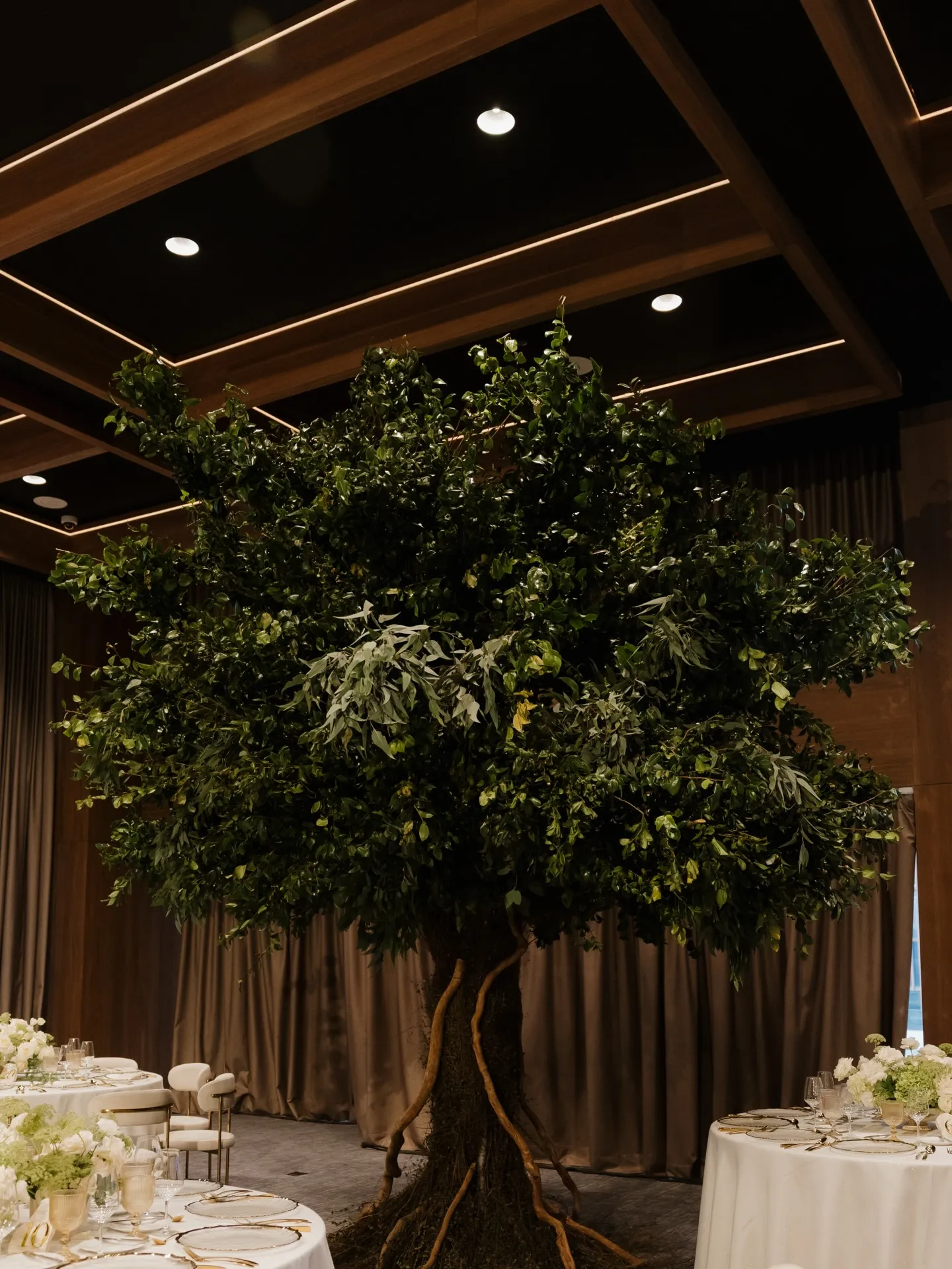 Árbol de follaje montado dentro del salón, sobre mesas vestidas en blanco